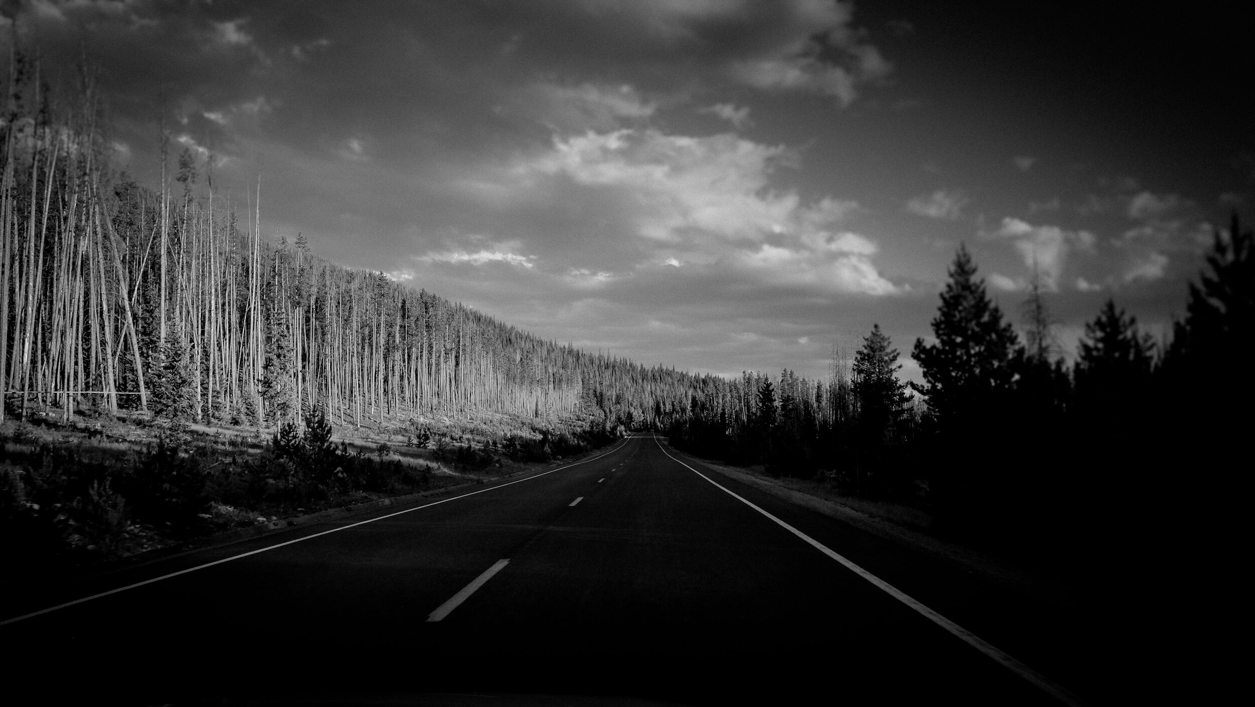 Dustin Grant Photography