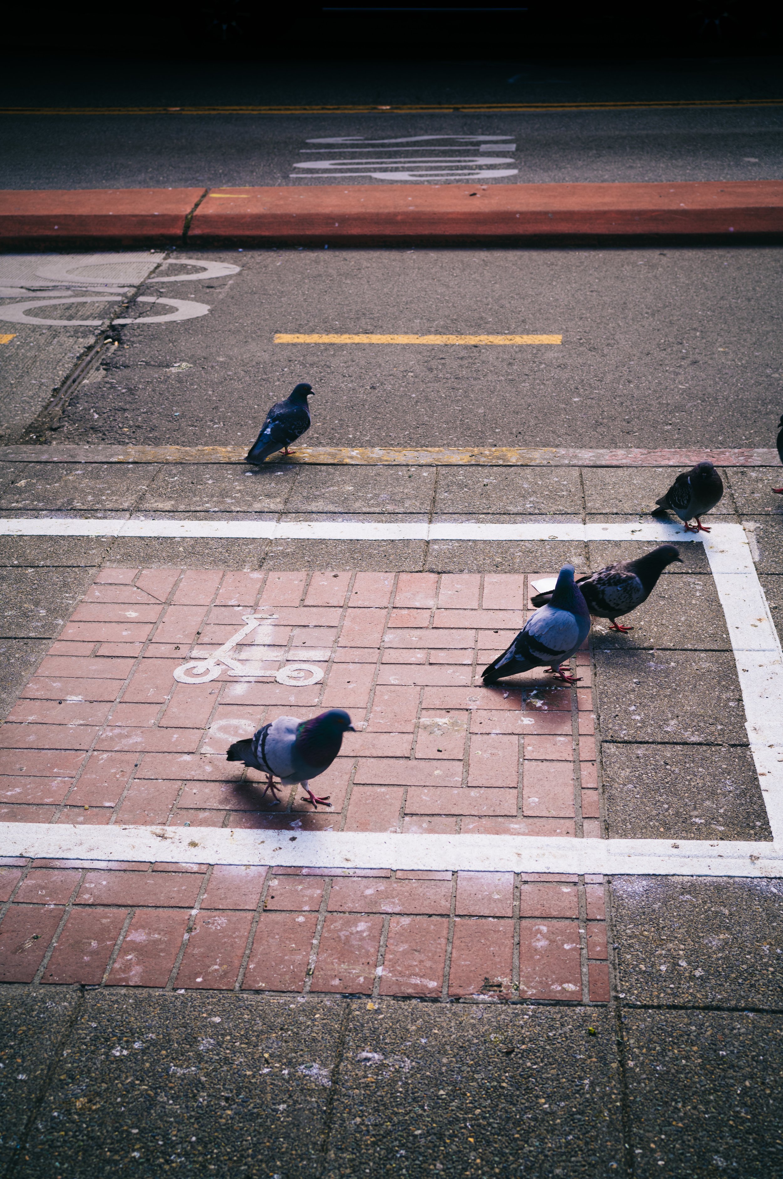 Dustin Grant Photography