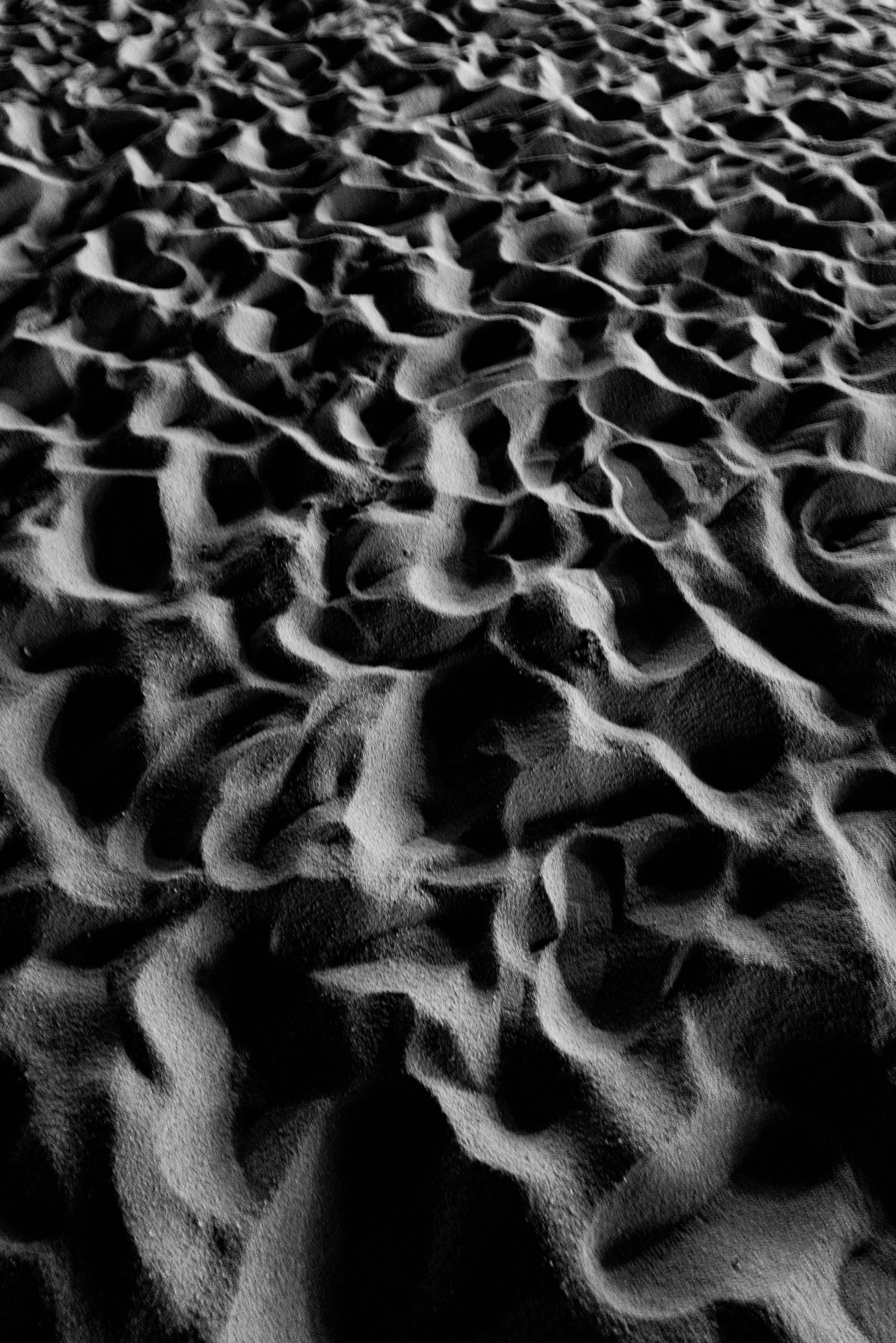 Dustin Grant Photography