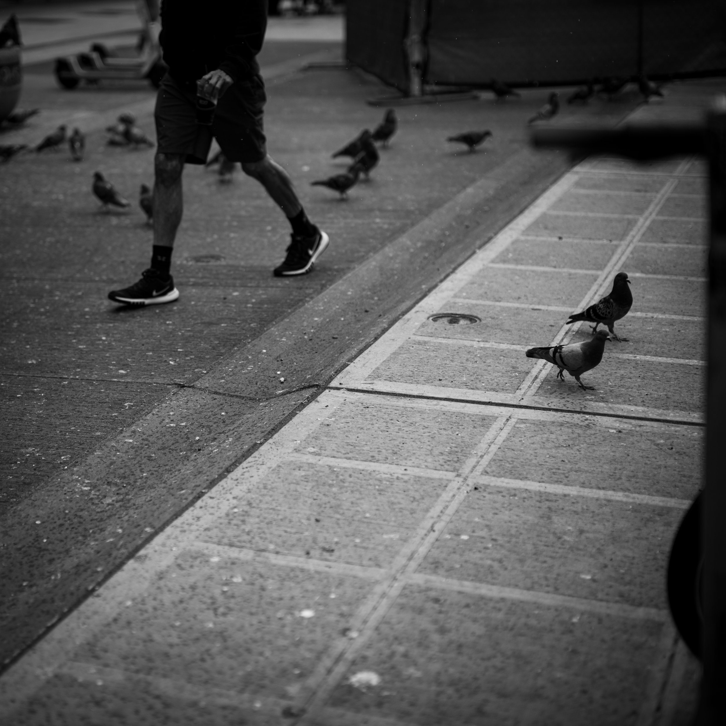 Dustin Grant Photography