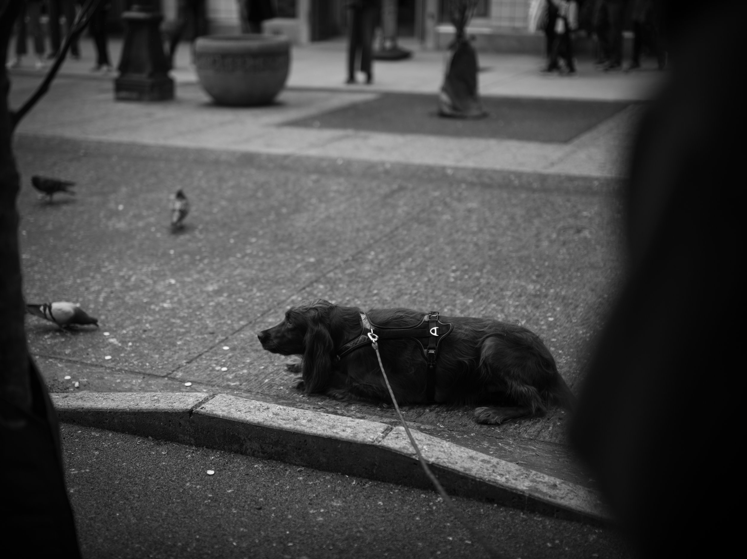 Dustin Grant Photography