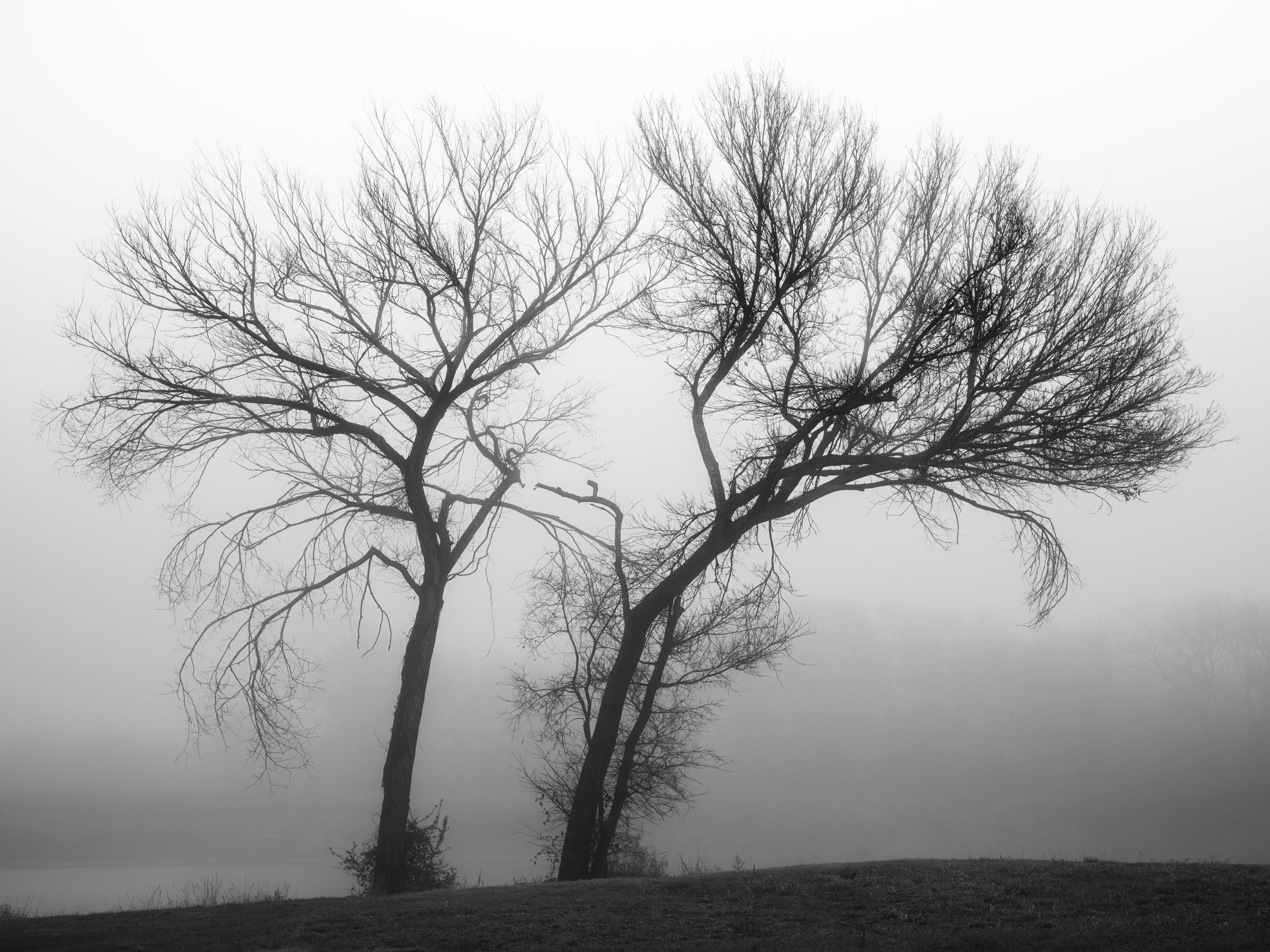 Dustin Grant Photography