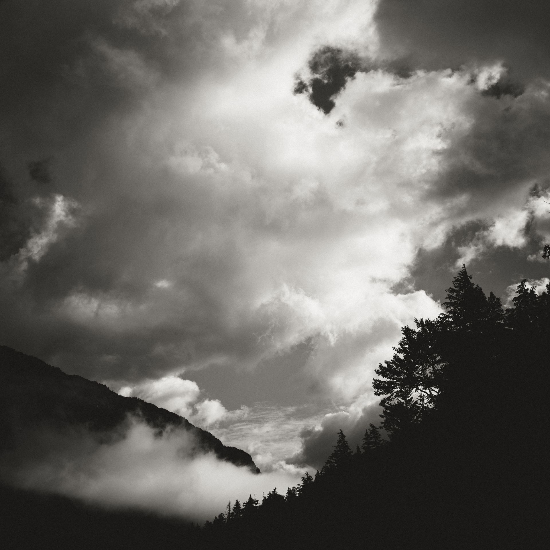 Dustin Grant Photography
