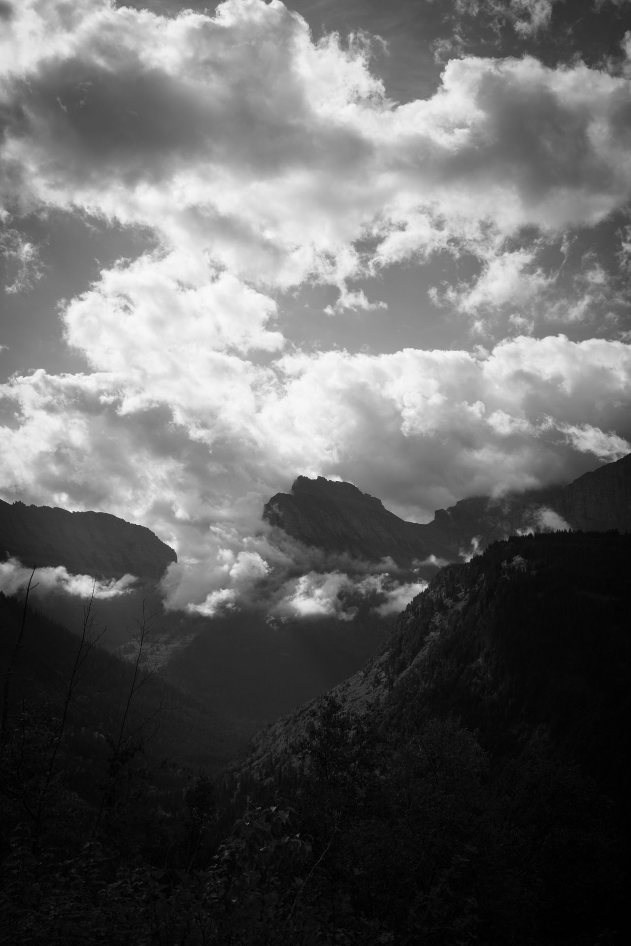 Dustin Grant Photography