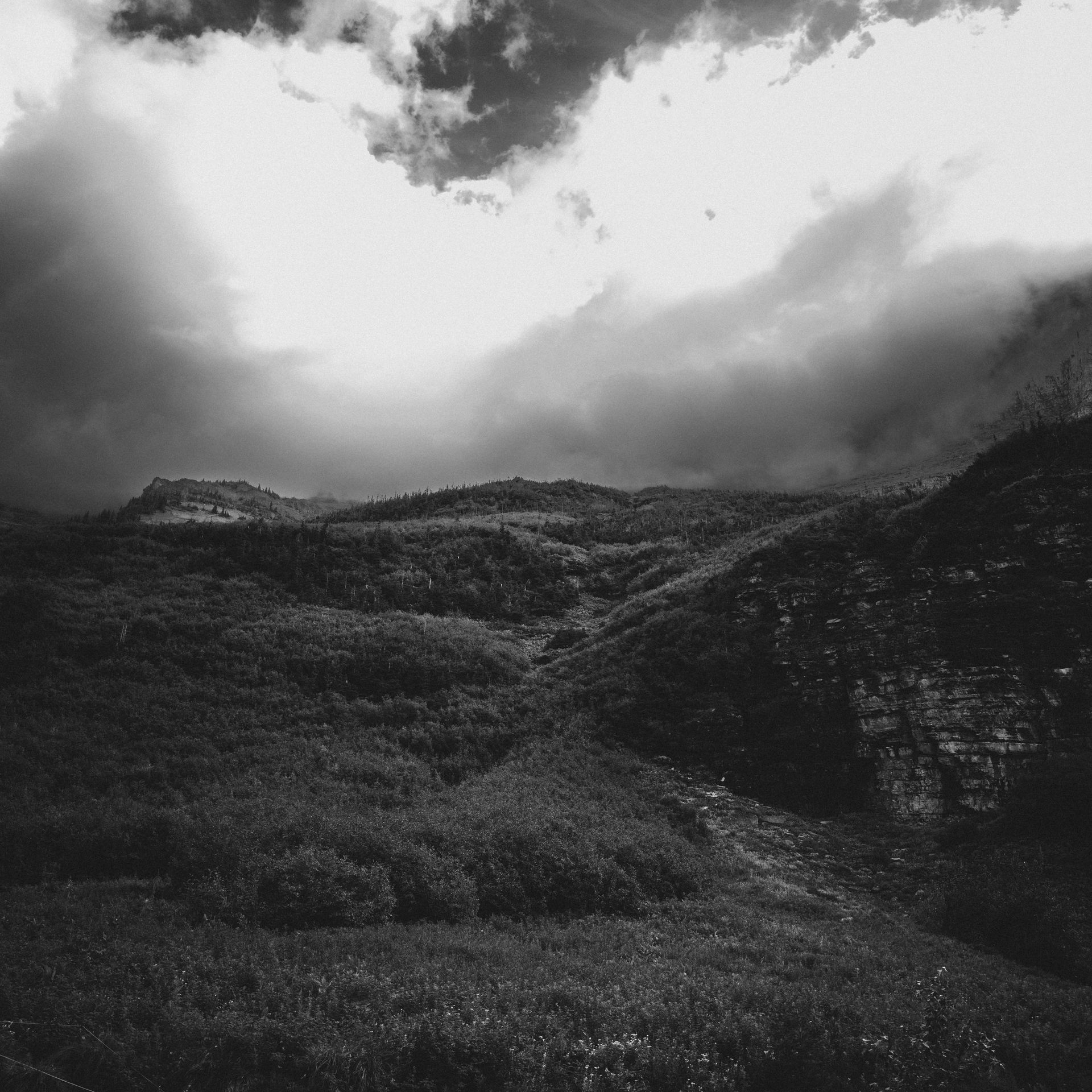 Dustin Grant Photography
