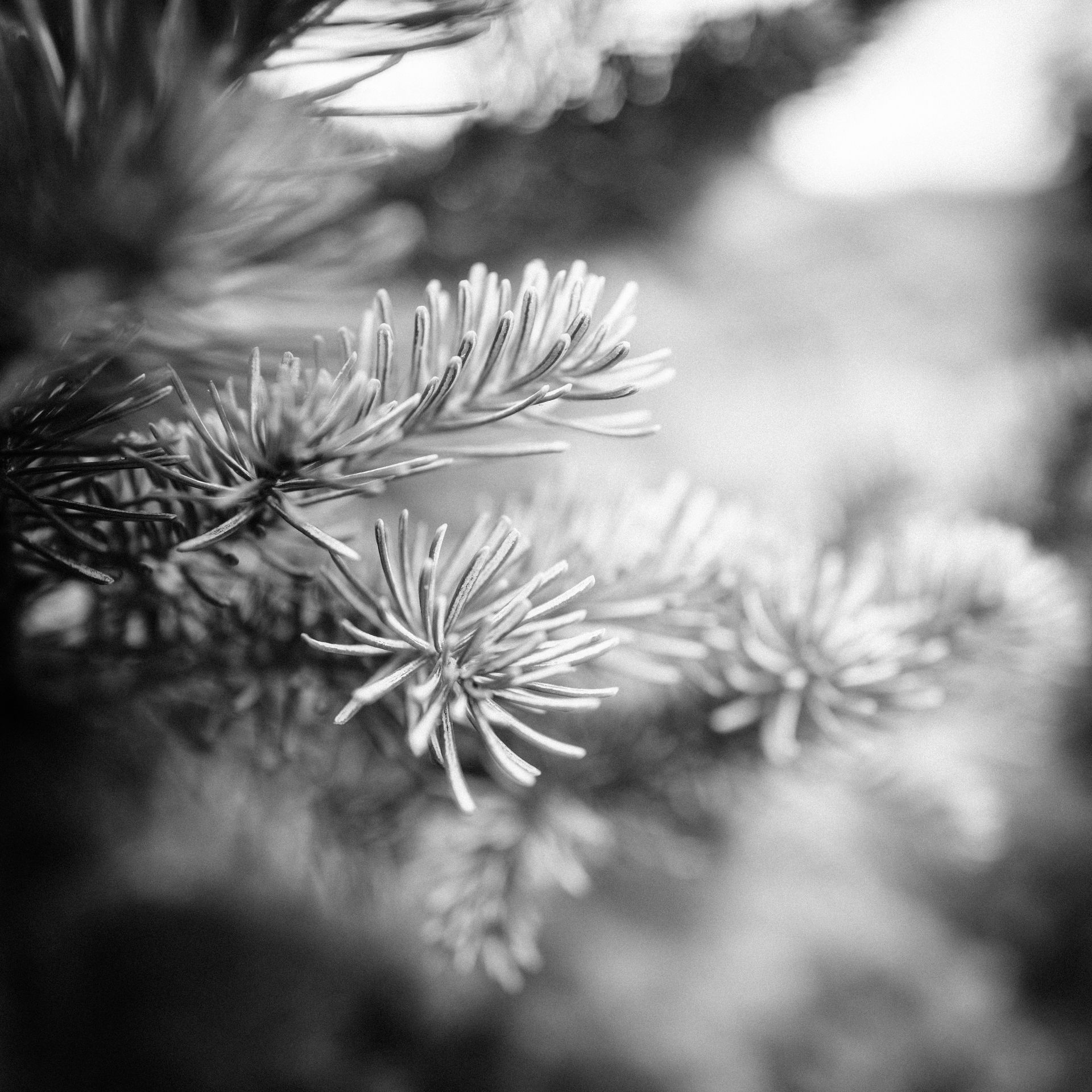 Dustin Grant Photography