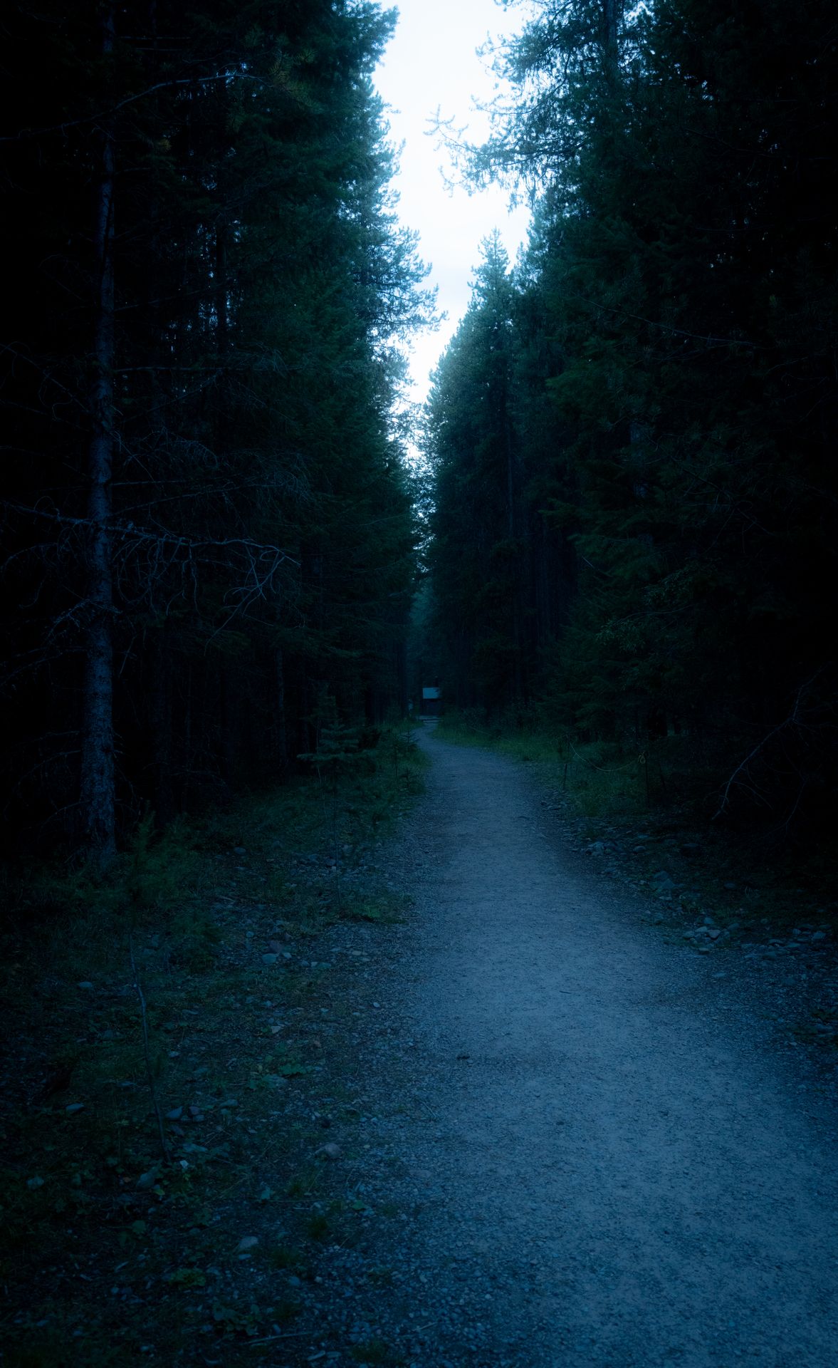 Dustin Grant Photography