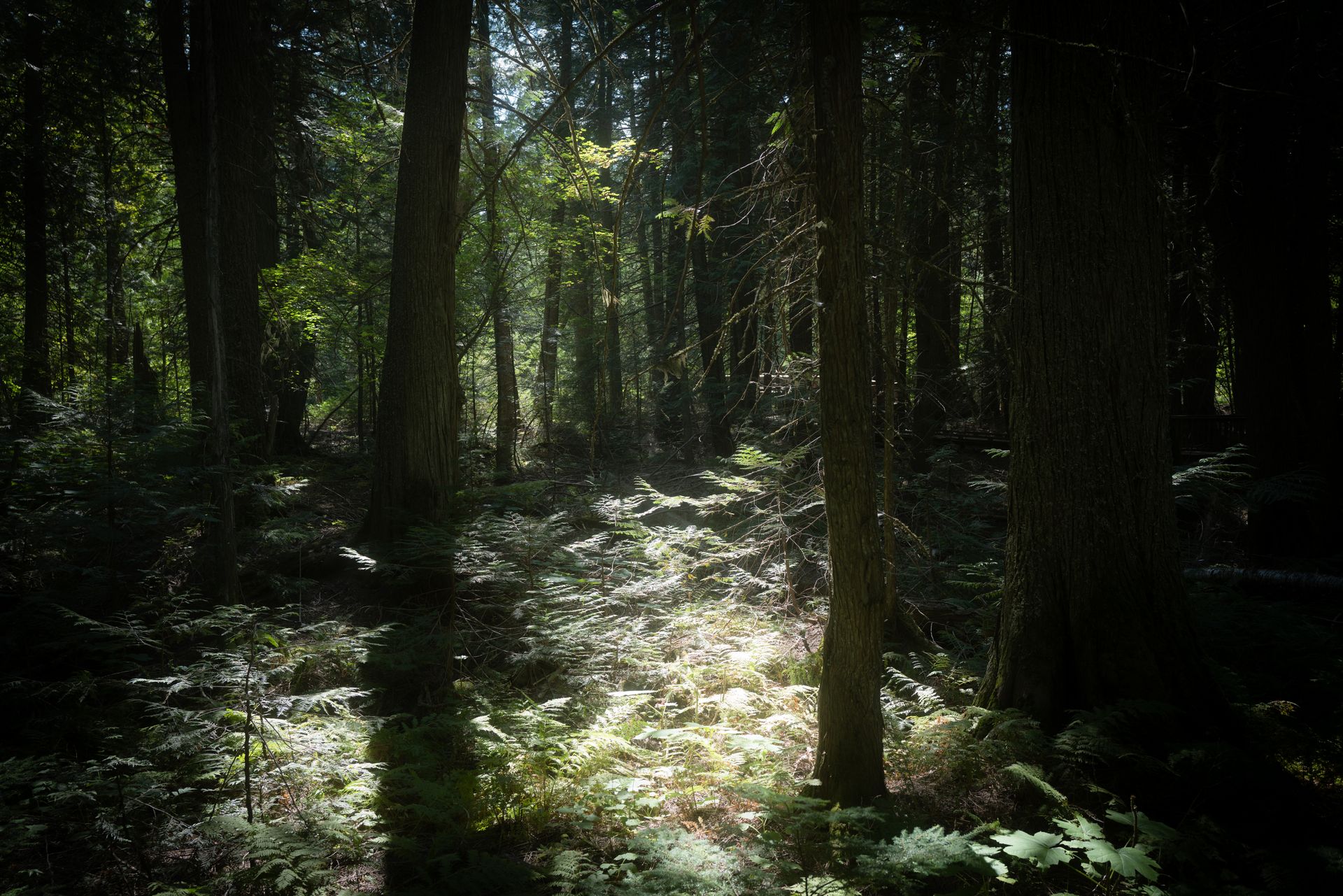 Dustin Grant Photography