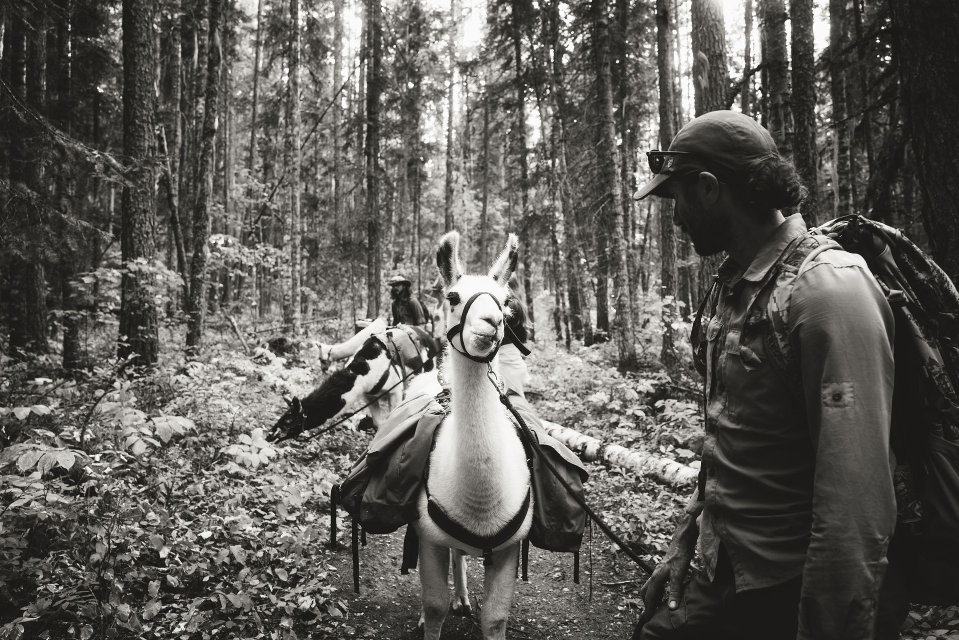 Dustin Grant Photography