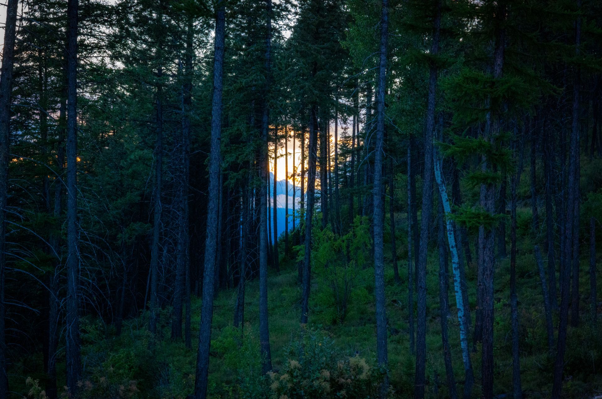 Dustin Grant Photography