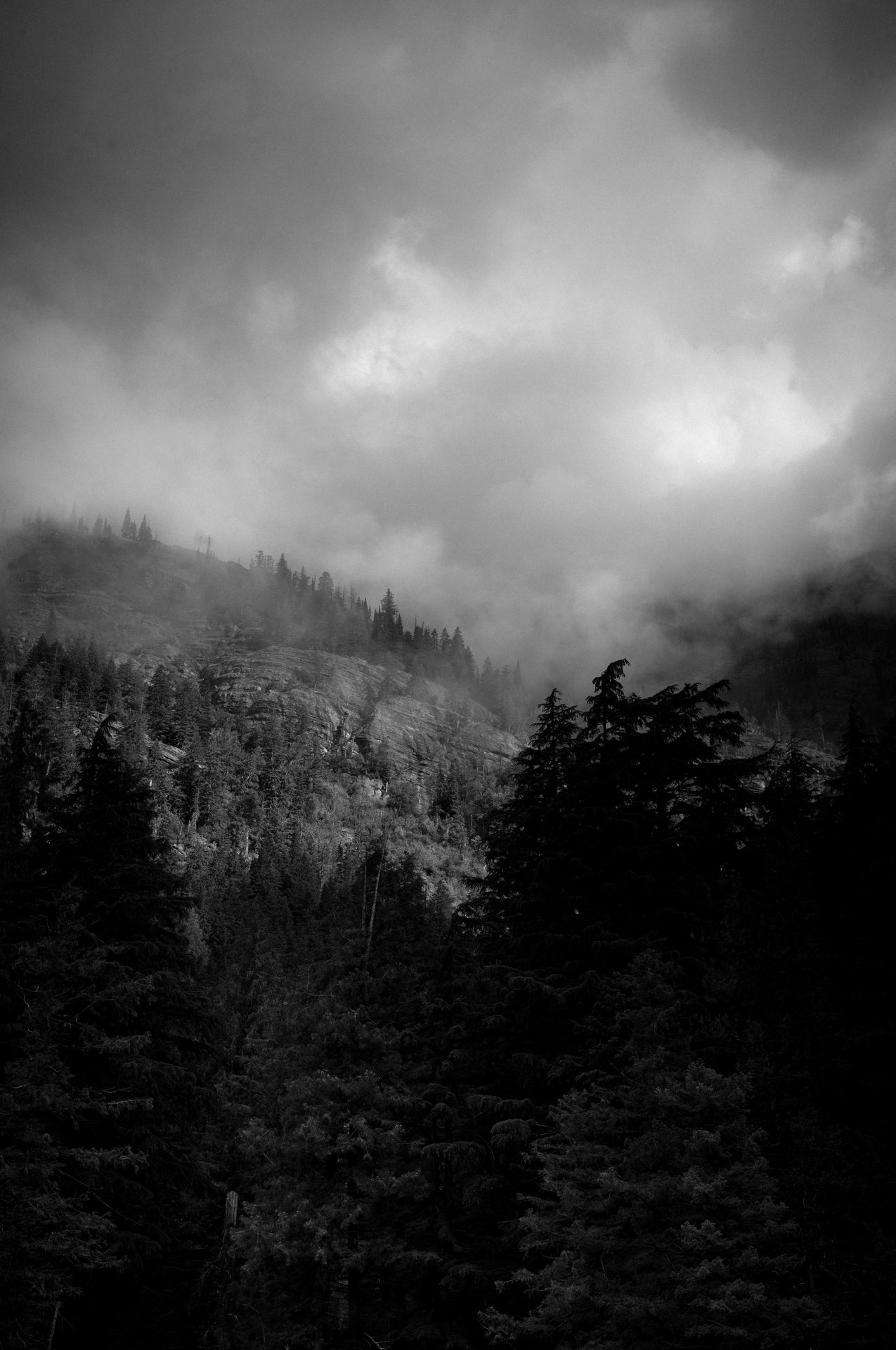 Dustin Grant Photography