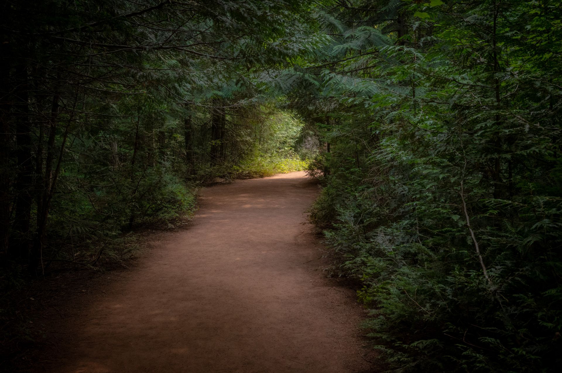 Dustin Grant Photography