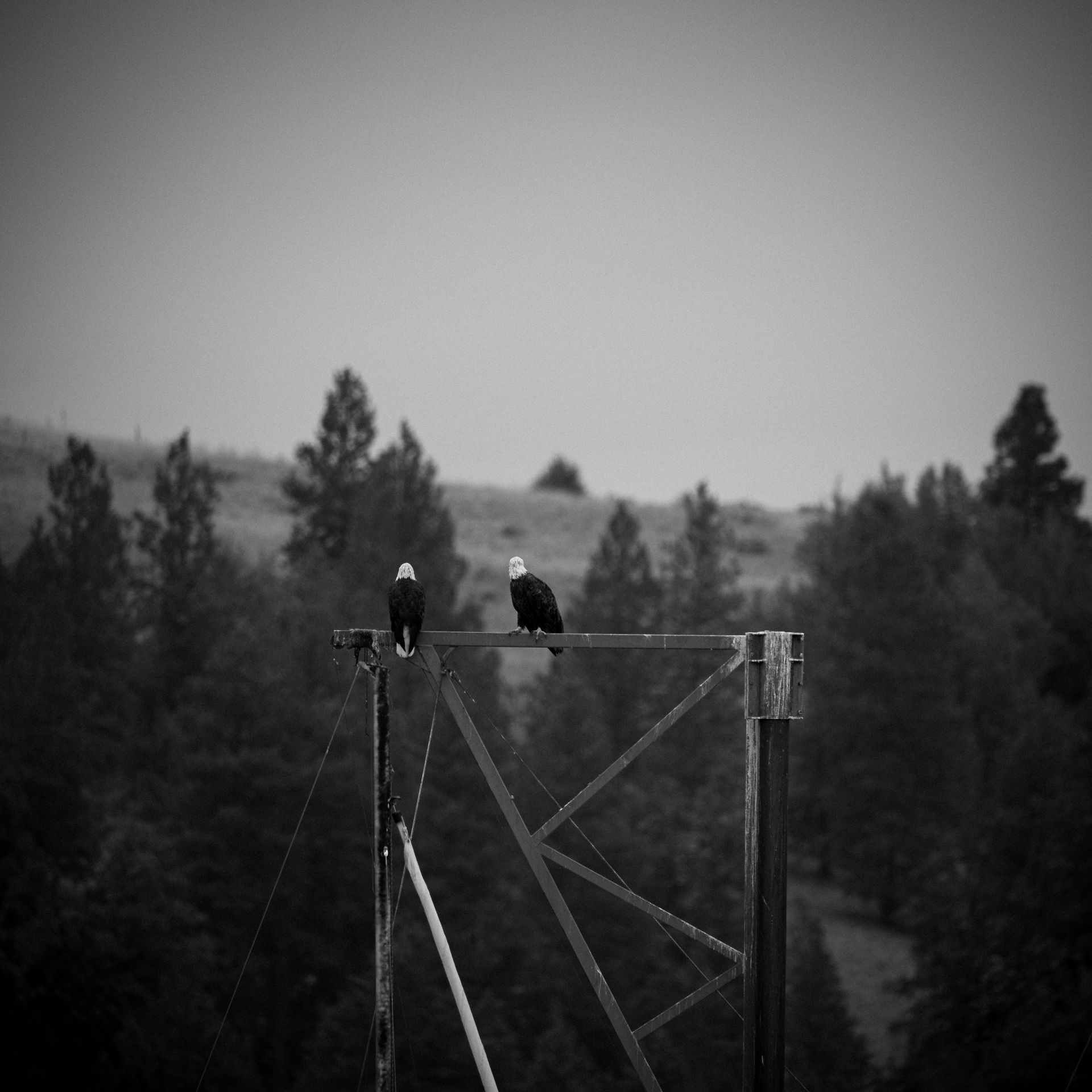 Dustin Grant Photography